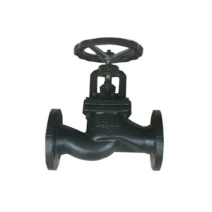 GLOB VANA DÖKME DEMİR PN-16 BRONZ İÇ PARÇALAR
